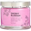 image:imagePartyLite 3Wick Jar Candle Highly Fragranced Clean Burning Glass Candle 2545 Hours Burn Time Almond Pear TartCherry Blossom