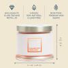 image:imagePartyLite 3Wick Jar Candle Highly Fragranced Clean Burning Glass Candle 2545 Hours Burn Time Almond Pear TartClementine Garland