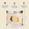 image:imagePartyLite 3Wick Jar Candle Highly Fragranced Clean Burning Glass Candle 2545 Hours Burn Time Almond Pear TartCoastal Amber  Shea