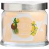 image:imagePartyLite 3Wick Jar Candle Highly Fragranced Clean Burning Glass Candle 2545 Hours Burn Time Almond Pear TartCoastal Amber  Shea