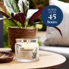 image:imagePartyLite 3Wick Jar Candle Highly Fragranced Clean Burning Glass Candle 2545 Hours Burn Time Almond Pear TartIced Snowberries