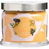 image:imagePartyLite 3Wick Jar Candle Highly Fragranced Clean Burning Glass Candle 2545 Hours Burn Time Almond Pear TartRaw Honey  Elderberry