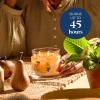 image:imagePartyLite 3Wick Jar Candle Highly Fragranced Clean Burning Glass Candle 2545 Hours Burn Time Almond Pear TartRaw Honey  Elderberry