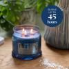 image:imagePartyLite 3Wick Jar Candle Highly Fragranced Clean Burning Glass Candle 2545 Hours Burn Time Almond Pear TartSea Salt  Sage