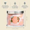 image:imagePartyLite 3Wick Jar Candle Highly Fragranced Clean Burning Glass Candle 2545 Hours Burn Time Almond Pear TartWild Rhubarb  Citrus