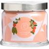 image:imagePartyLite 3Wick Jar Candle Highly Fragranced Clean Burning Glass Candle 2545 Hours Burn Time Almond Pear TartWild Rhubarb  Citrus