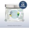 image:imagePartyLite 3Wick Jar Candle Highly Fragranced Clean Burning Glass Candle 2545 Hours Burn Time Almond Pear TartWinter Morning