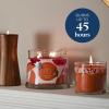image:imagePartyLite 3Wick Jar Candle Highly Fragranced Clean Burning Glass Candle 2545 Hours Burn Time Almond Pear TartWoodland Pumpkin