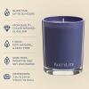 image:imagePartyLite Fig Fatale Scented Escential Jar Candle with Notes of Apricot Green Fig Peach Mango Strawberry and Vanilla 775oz 1Wick Aromatherapy Reusable Glass Jar 50 Hour Burn TimeTwilight Lavender
