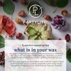 image:imagePartyLite Fig Fatale Scented Escential Jar Candle with Notes of Apricot Green Fig Peach Mango Strawberry and Vanilla 775oz 1Wick Aromatherapy Reusable Glass Jar 50 Hour Burn TimeIced Snowberries