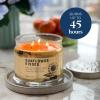 image:imagePartyLite Fig Fatale Scented Notes of Apricot Green Fig Peach Mango Strawberry and Vanilla132oz 3Wick Jar Candle 45 Hour Burn Time Luxurious Fragrance Perfect for GiftingSunflower Kisses