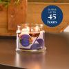 image:imagePartyLite Fig Fatale Scented Notes of Apricot Green Fig Peach Mango Strawberry and Vanilla132oz 3Wick Jar Candle 45 Hour Burn Time Luxurious Fragrance Perfect for GiftingWild Sage  Rosewood