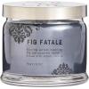 image:imagePartyLite Fig Fatale Scented Notes of Apricot Green Fig Peach Mango Strawberry and Vanilla132oz 3Wick Jar Candle 45 Hour Burn Time Luxurious Fragrance Perfect for GiftingFig Fatale