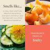image:imagePartyLite Gift Set of 12 Universal Tea Lights Fig Fatale Scented Notes of Apricot Green Fig Peach Mango Strawberry and Vanilla 46 Hour Burn Time Luxurious amp Rich Perfect for GiftingCucumber  Clementine