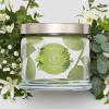 image:imagePartyLite 3Wick Jar Candle Highly Fragranced Clean Burning Glass Candle 2545 Hours Burn Time Almond Pear TartFarm Fresh Herbs