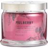Mulberry