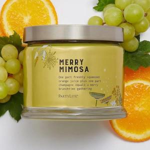 image:imagePartyLite Fig Fatale Scented Notes of Apricot Green Fig Peach Mango Strawberry and Vanilla132oz 3Wick Jar Candle 45 Hour Burn Time Luxurious Fragrance Perfect for GiftingMerry Mimosa