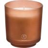 image:imagePartyLite Tamboti Woods Scented Notes of Fragrant Amber Smoked Patchouli Lavender amp Green Moss 10oz 1Wick Aromatherapy Refillable Jar Candle 50 Hour Burn Time Sustainable Wax in Reusable VesselTamboti Woods