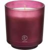 image:imagePartyLite Tamboti Woods Scented Notes of Fragrant Amber Smoked Patchouli Lavender amp Green Moss 10oz 1Wick Aromatherapy Refillable Jar Candle 50 Hour Burn Time Sustainable Wax in Reusable VesselMulberry