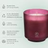 image:imagePartyLite Tamboti Woods Scented Notes of Fragrant Amber Smoked Patchouli Lavender amp Green Moss 10oz 1Wick Aromatherapy Refillable Jar Candle 50 Hour Burn Time Sustainable Wax in Reusable VesselMulberry