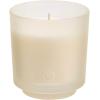 image:imagePartyLite Tamboti Woods Scented Notes of Fragrant Amber Smoked Patchouli Lavender amp Green Moss 10oz 1Wick Aromatherapy Refillable Jar Candle 50 Hour Burn Time Sustainable Wax in Reusable VesselIced Snowberries