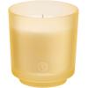 image:imagePartyLite Tamboti Woods Scented Notes of Fragrant Amber Smoked Patchouli Lavender amp Green Moss 10oz 1Wick Aromatherapy Refillable Jar Candle 50 Hour Burn Time Sustainable Wax in Reusable VesselCoastal Amber  Shea