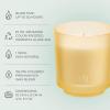 image:imagePartyLite Tamboti Woods Scented Notes of Fragrant Amber Smoked Patchouli Lavender amp Green Moss 10oz 1Wick Aromatherapy Refillable Jar Candle 50 Hour Burn Time Sustainable Wax in Reusable VesselCoastal Amber  Shea