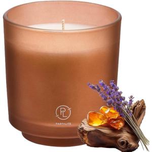 image:imagePartyLite Tamboti Woods Scented Notes of Fragrant Amber Smoked Patchouli Lavender amp Green Moss 10oz 1Wick Aromatherapy Refillable Jar Candle 50 Hour Burn Time Sustainable Wax in Reusable VesselTamboti Woods