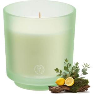 image:imagePartyLite Tamboti Woods Scented Notes of Fragrant Amber Smoked Patchouli Lavender amp Green Moss 10oz 1Wick Aromatherapy Refillable Jar Candle 50 Hour Burn Time Sustainable Wax in Reusable VesselSeagrass Eucalyptus