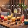image:imagePartyLite Optimistic Scented with Notes of Sparkling Mandarin amp Tart Lemon 141oz 2Wick Ombre Jar Candle 2448 Hour Burn Time Part of the Mood Collection Refreshing Tropical Perfect for GiftingOptimistic