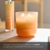 image:imagePartyLite Optimistic Scented with Notes of Sparkling Mandarin amp Tart Lemon 141oz 2Wick Ombre Jar Candle 2448 Hour Burn Time Part of the Mood Collection Refreshing Tropical Perfect for GiftingHappy
