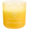 image:imagePartyLite Optimistic Scented with Notes of Sparkling Mandarin amp Tart Lemon 141oz 2Wick Ombre Jar Candle 2448 Hour Burn Time Part of the Mood Collection Refreshing Tropical Perfect for GiftingOptimistic
