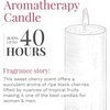 image:imageCANDLELITE Juicy Watermelon Slice 3Wick Candles 10 oz Jar RedJuicy Black Cherries