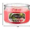 image:imageCANDLELITE Juicy Watermelon Slice 3Wick Candles 10 oz Jar RedJuicy Watermelon Slice