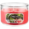 image:imageCANDLELITE Juicy Watermelon Slice 3Wick Candles 10 oz Jar RedJuicy Watermelon Slice