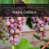image:imageCANDLELITE Juicy Watermelon Slice 3Wick Candles 10 oz Jar RedNapa Cellars
