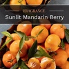 image:imageCANDLELITE Juicy Watermelon Slice 3Wick Candles 10 oz Jar RedSunlit Mandarin Berry
