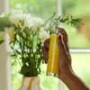 image:imagePartyLite Passionate Scented Room Spray 100mL with Notes of Meyer Lemon Freesia amp Cedarwood Part of the Mood Collection Luxurious amp Romantic Perfect for GiftingOptimistic