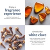 image:imagePartyLite White Clove Monochrome Jar Candle  Modern Black amp White Design Mandarin Matcha Shiso Leaf White Clove Amber amp Hazelnut Wood Scent 4060 Hours Burn Time