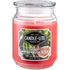 image:imageCandleLite Everyday Scented Juicy Watermelon Slice SingleWick Jar Candle 18 oz Red