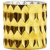 image:imagePartyLite Passionfruit Prosecco Summertime Simply Sparkling 3Wick Jar Candle 4050 Hr Burn