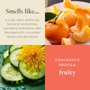 image:imagePartyLite Set of 12 Tea Lights Candles Creamy Rose Petals and Sweet Orange Flower Scent Aromatherapy Scented Candles Gift Set Up to 4 to 6 Hours Burn TimeCucumber  Clementine
