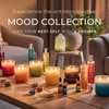 image:imagePartyLite Tea Lights Sampler Passionate amp Happy with Optimistic Scented Candles Gift Set of 12 Aromatherapy with up to 4 to 6 Hours Burn Time Ideal for Home Decor Holiday Gifting and CelebrationSet of 12