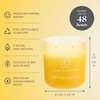 image:imagePartyLite Tea Lights Sampler Passionate amp Happy with Optimistic Scented Candles Gift Set of 12 Aromatherapy with up to 4 to 6 Hours Burn Time Ideal for Home Decor Holiday Gifting and CelebrationOptimistic