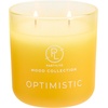 image:imagePartyLite Tea Lights Sampler Passionate amp Happy with Optimistic Scented Candles Gift Set of 12 Aromatherapy with up to 4 to 6 Hours Burn Time Ideal for Home Decor Holiday Gifting and CelebrationOptimistic