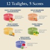 image:imagePartyLite Tea Lights Sampler Strawberry and Rhubarb with Honey Scented Candles Gift Set of 12 Aromatherapy with up to 4 to 6 Hours Burn Time Ideal for Home Decor Holiday Gifting and Celebration