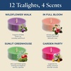image:imagePartyLite Tea Lights Sampler Wildflower and Grass with Coconut Scented Candles Gift Set of 12 Aromatherapy with up to 4 to 6 Hours Burn Time Ideal for Home Decor Holiday Gifting and Celebration