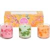 image:imagePartyLite Set of 3 Sampler Tribute to Tokyo