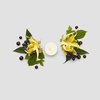 image:imagePartyLite Brighter World Set of 12 Tea Lights Candles Ylang Ylang Black Currant Scent Aromatherapy Scented Candles Gift Set Up to 4 to 6 Hours Burn Time