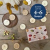image:imagePartyLite Set of 12 Tea Lights Candles Fancy Gourmand Scent Aromatherapy Scented Candles Gift Set Up to 4 to 6 Hours Burn Time